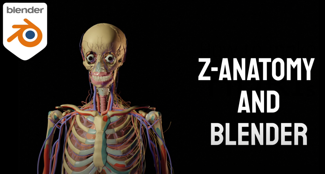 Free Human Anatomy Models using Z-Anatomy – Blender Tutorial - 71421 ...